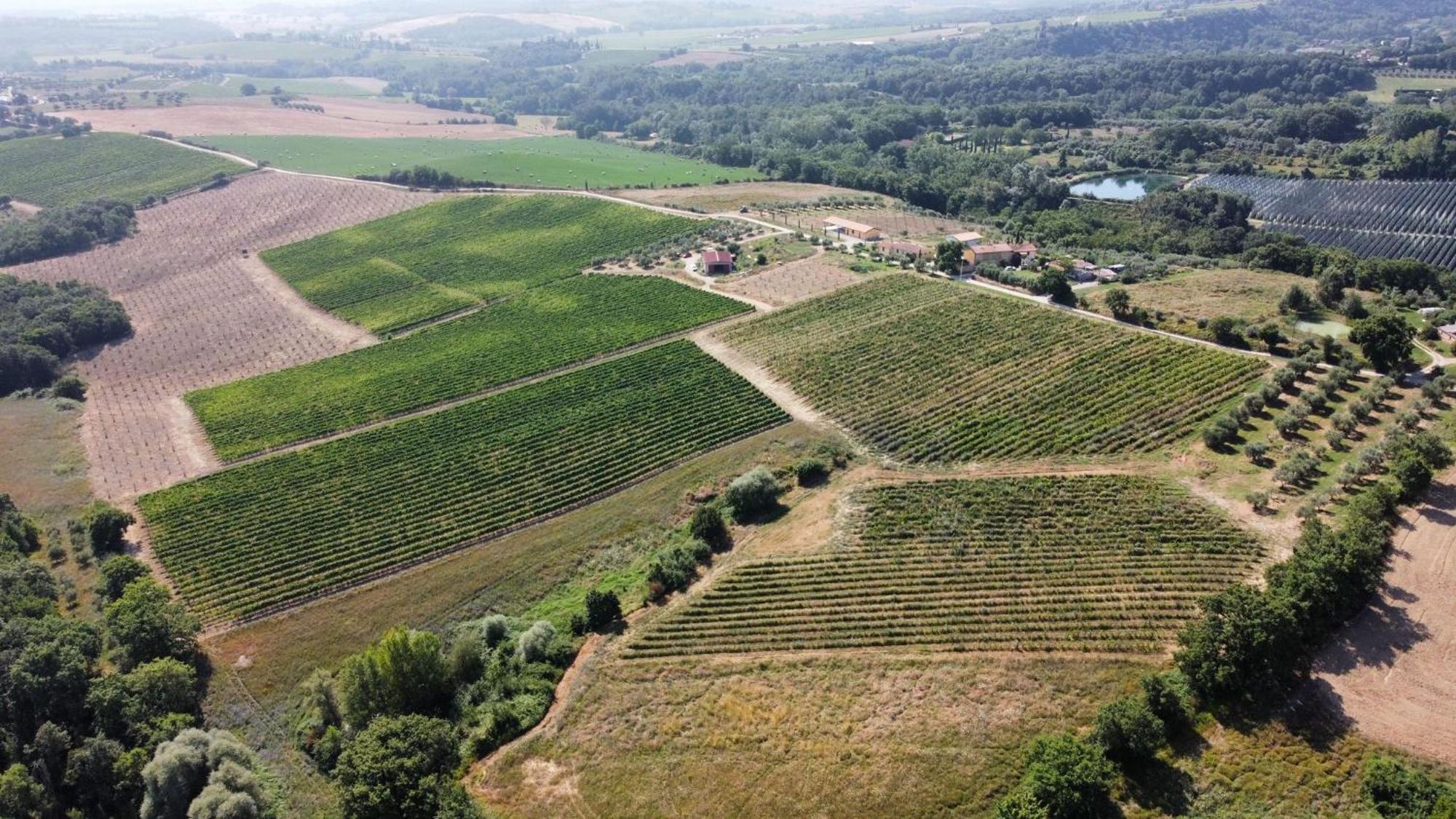 Agriturismo Podere Casa Al Vento Montepulciano Stazione Buitenkant foto