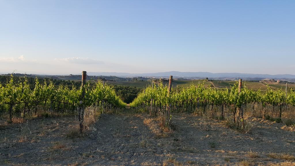 Agriturismo Podere Casa Al Vento Montepulciano Stazione Buitenkant foto